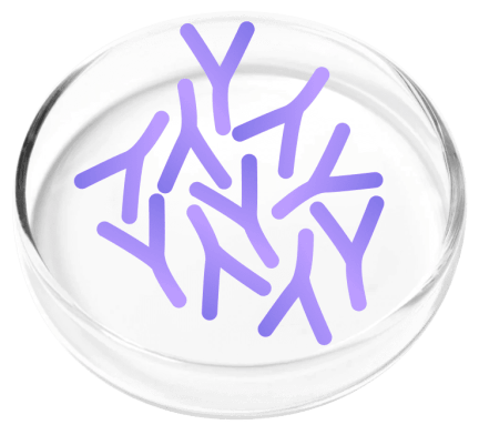 FemiCore Ingredients