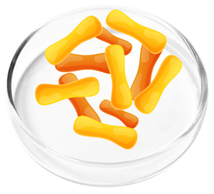 FemiCore Ingredients
