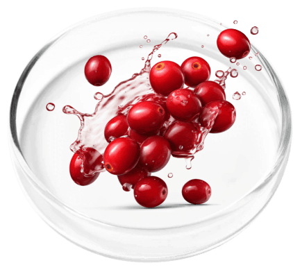 FemiCore Ingredients