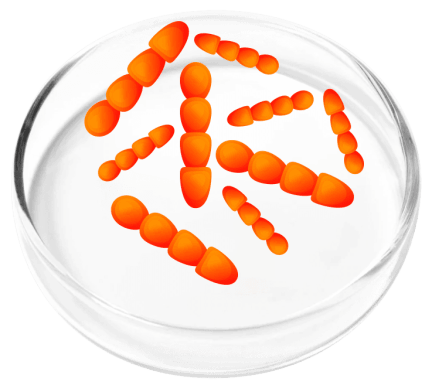 FemiCore Ingredients